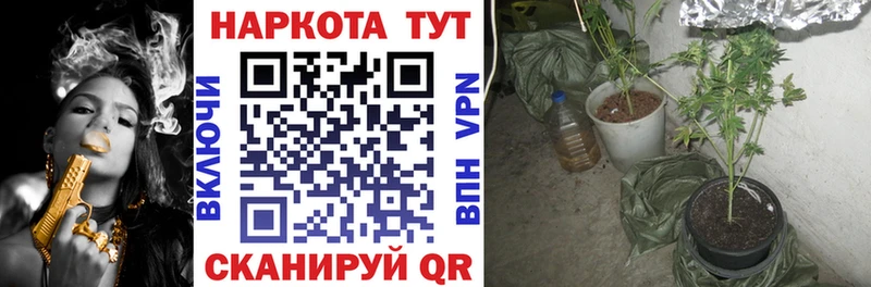 Что такое Новая Ладога Конопля  БУТИРАТ  Cocaine  Амфетамин  Меф мяу мяу  ГАШИШ  A-PVP 