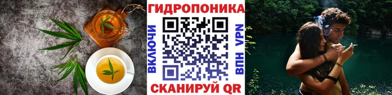 Cannafood конопля  купить наркотики цена  Новая Ладога 
