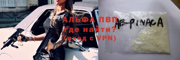 прущие грибы Шадринск