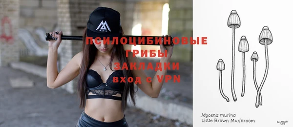 гидра Иннополис