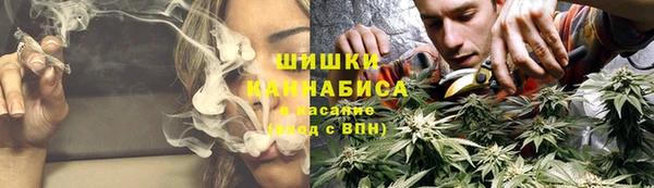 прущие грибы Шадринск