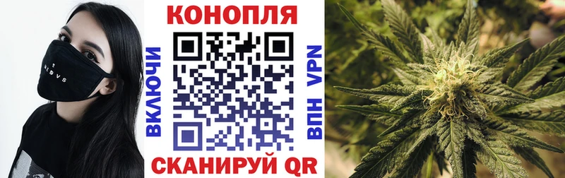 магазин продажи   Новая Ладога  Бошки марихуана LSD WEED 